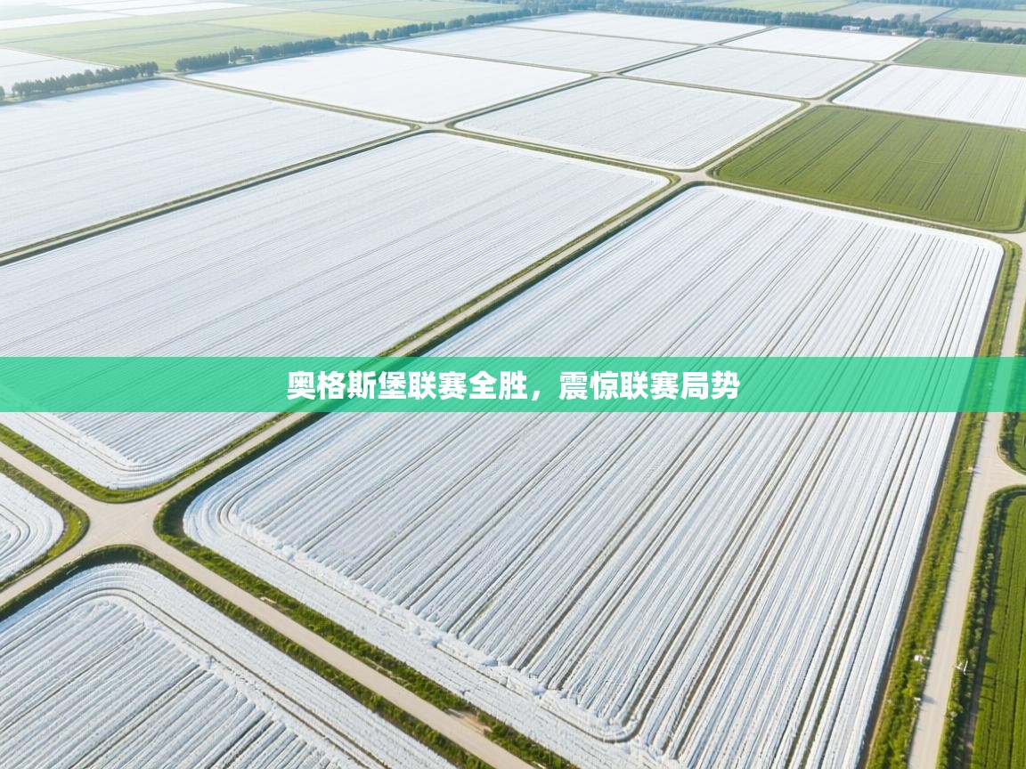 奥格斯堡联赛全胜，震惊联赛局势