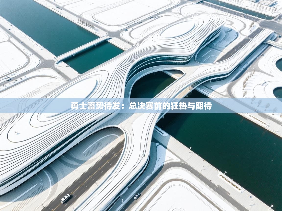 勇士蓄势待发：总决赛前的狂热与期待