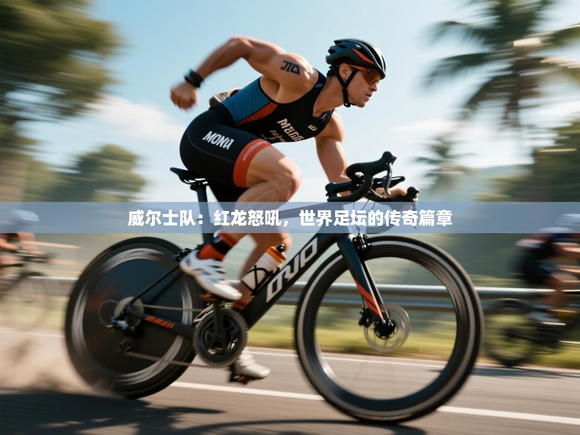 威尔士队：红龙怒吼，世界足坛的传奇篇章  第1张