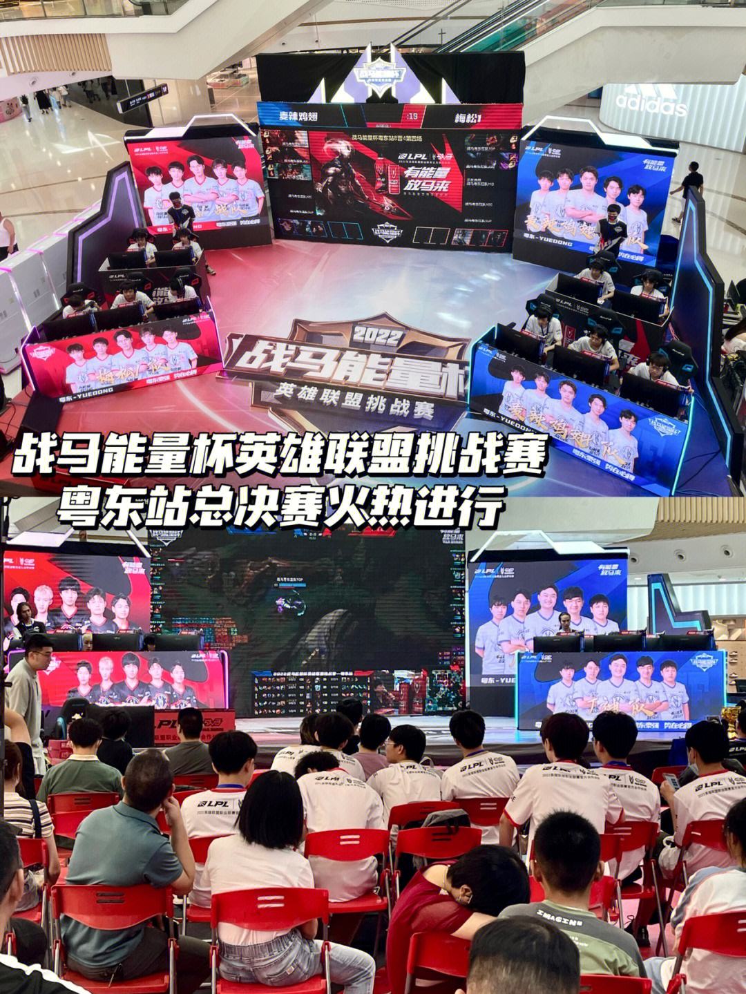关键比赛中，战马战队碾压对手，网友热议不断的简单介绍